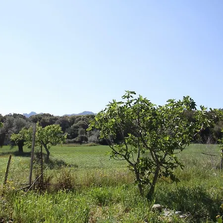 Il Casale Dei Giua