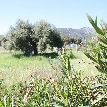 Il Casale Dei Giua
