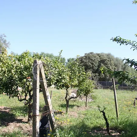 Il Casale Dei Giua Casa de Férias Padru
